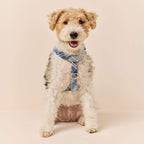 Hawthorne Plaid Flannel Dog Harness