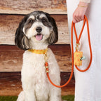 Cider Marine Rope Dog Leash
