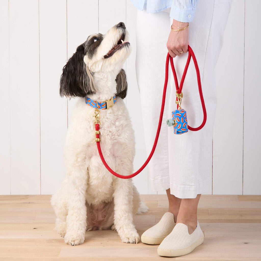 Ruby Marine Rope Dog Leash