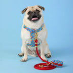 Ruby Marine Rope Dog Leash