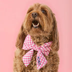 Hot Pink Gingham Lady Bow Collar