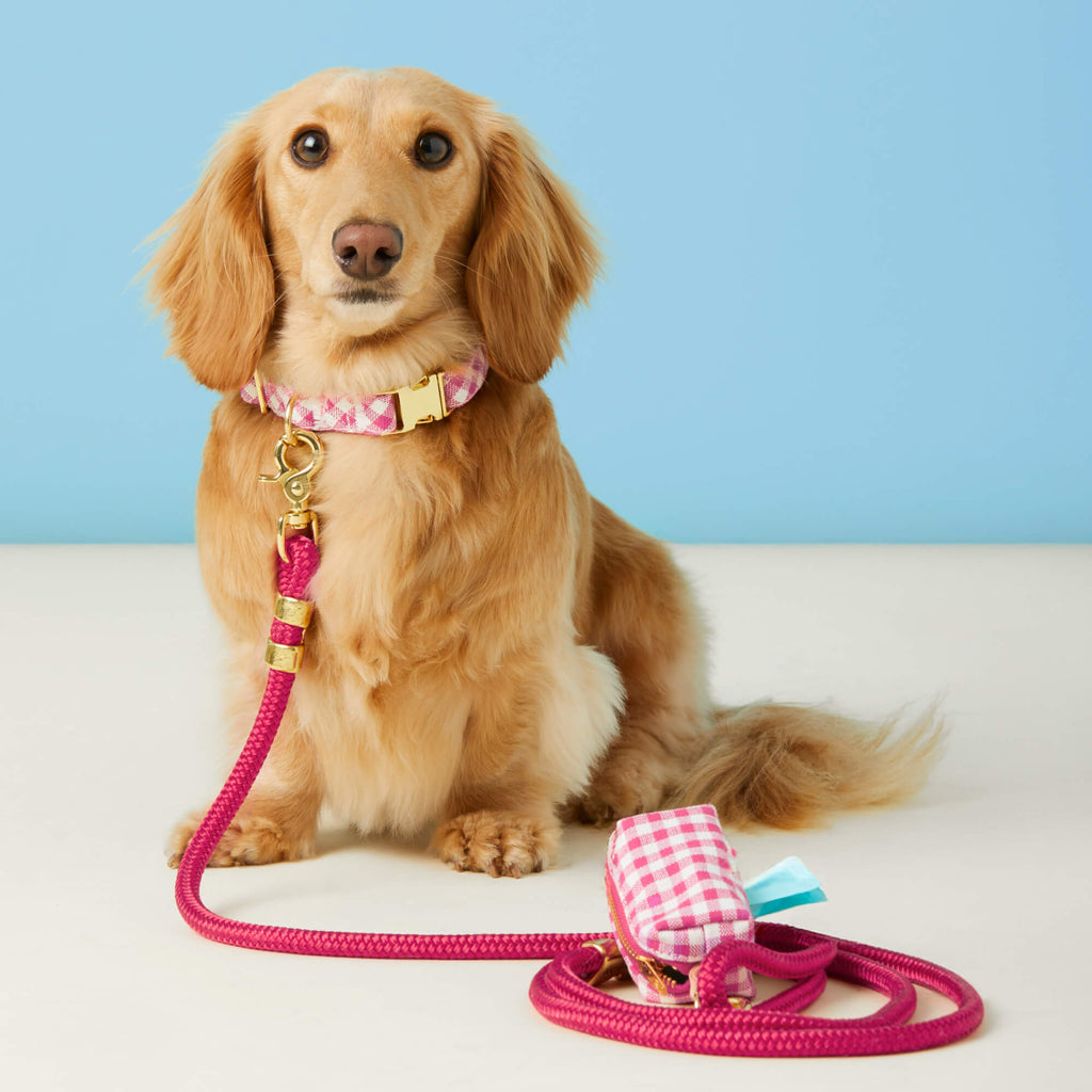 Hot Pink Marine Rope Dog Leash