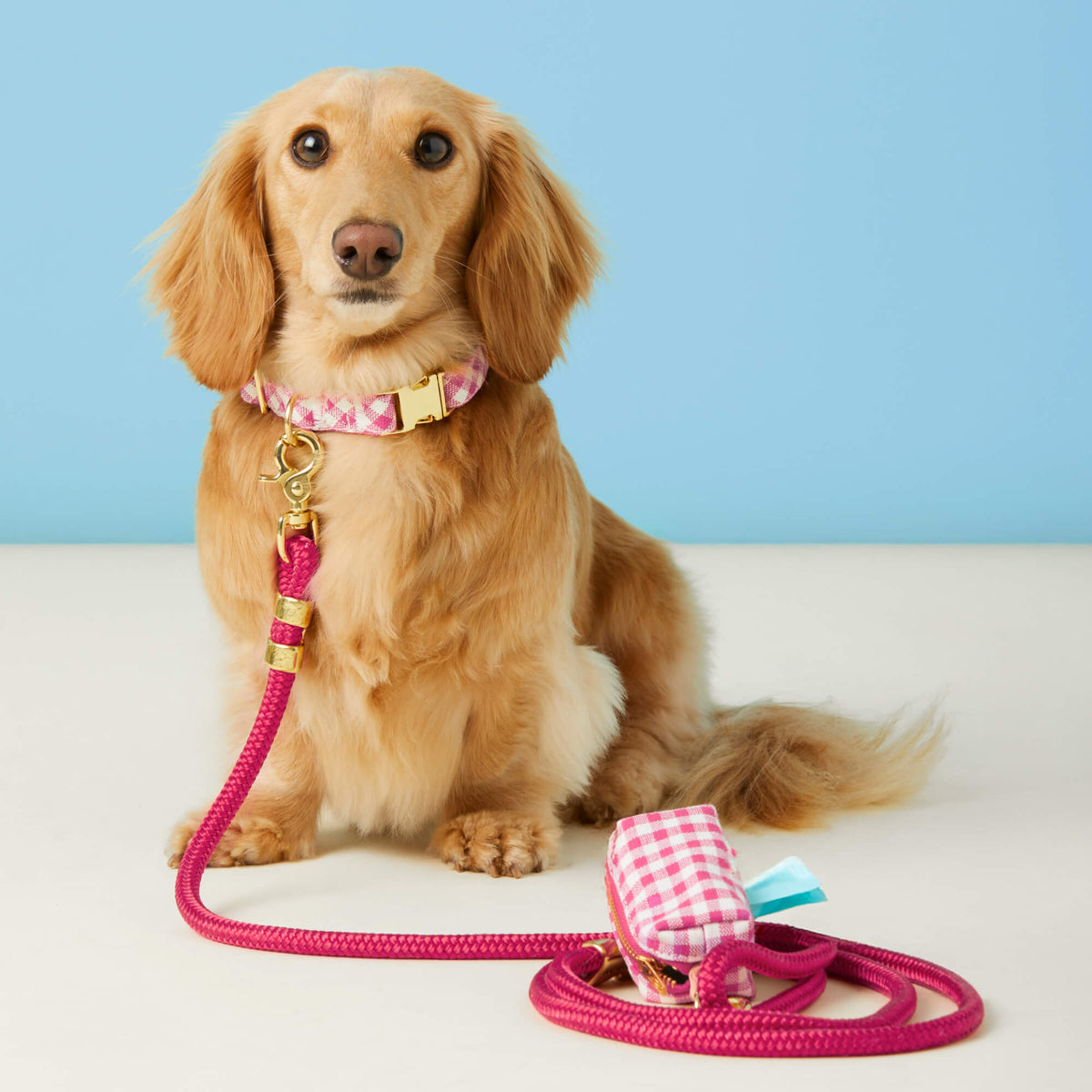 Hot Pink Marine Rope Dog Leash