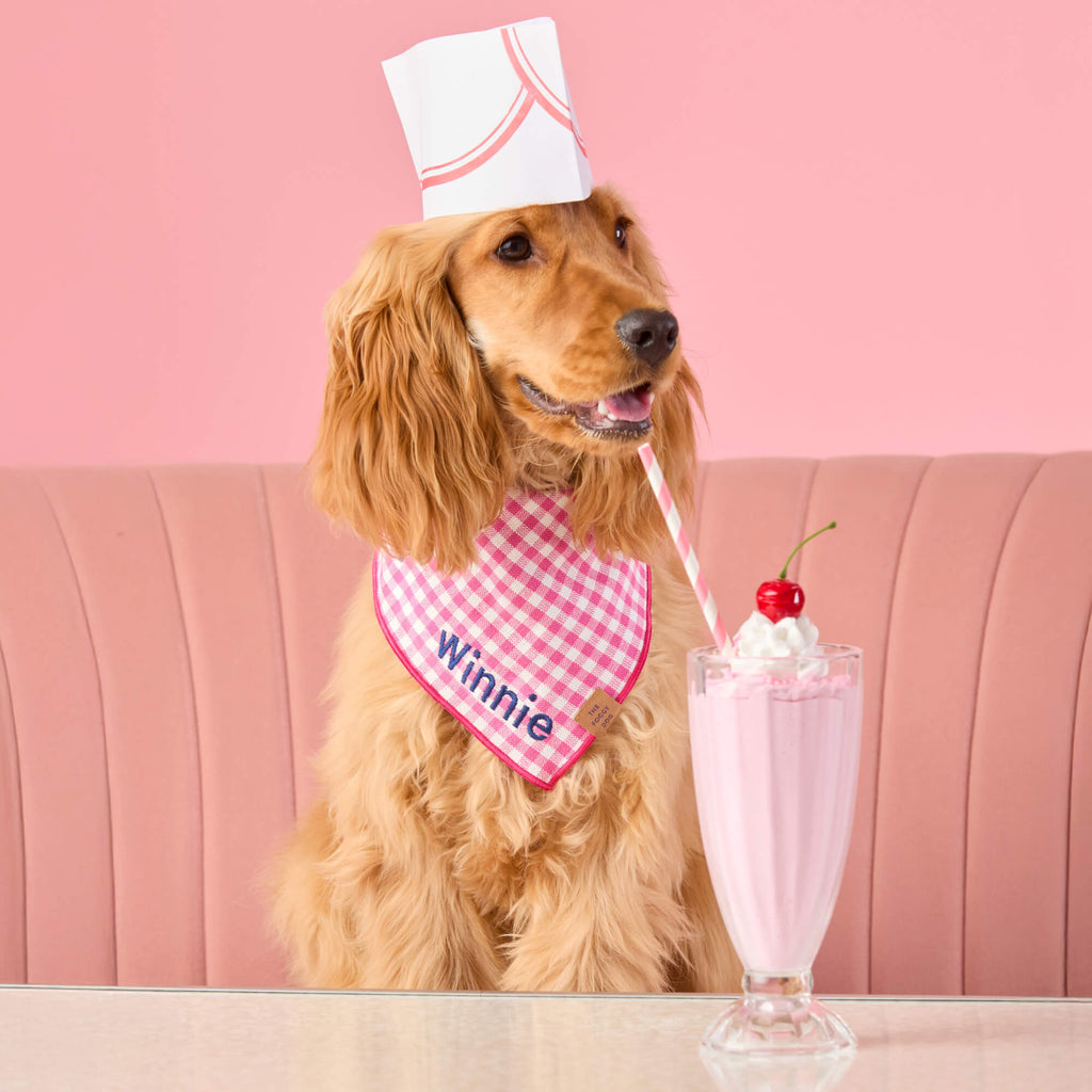 Hot Pink Gingham Dog Bandana