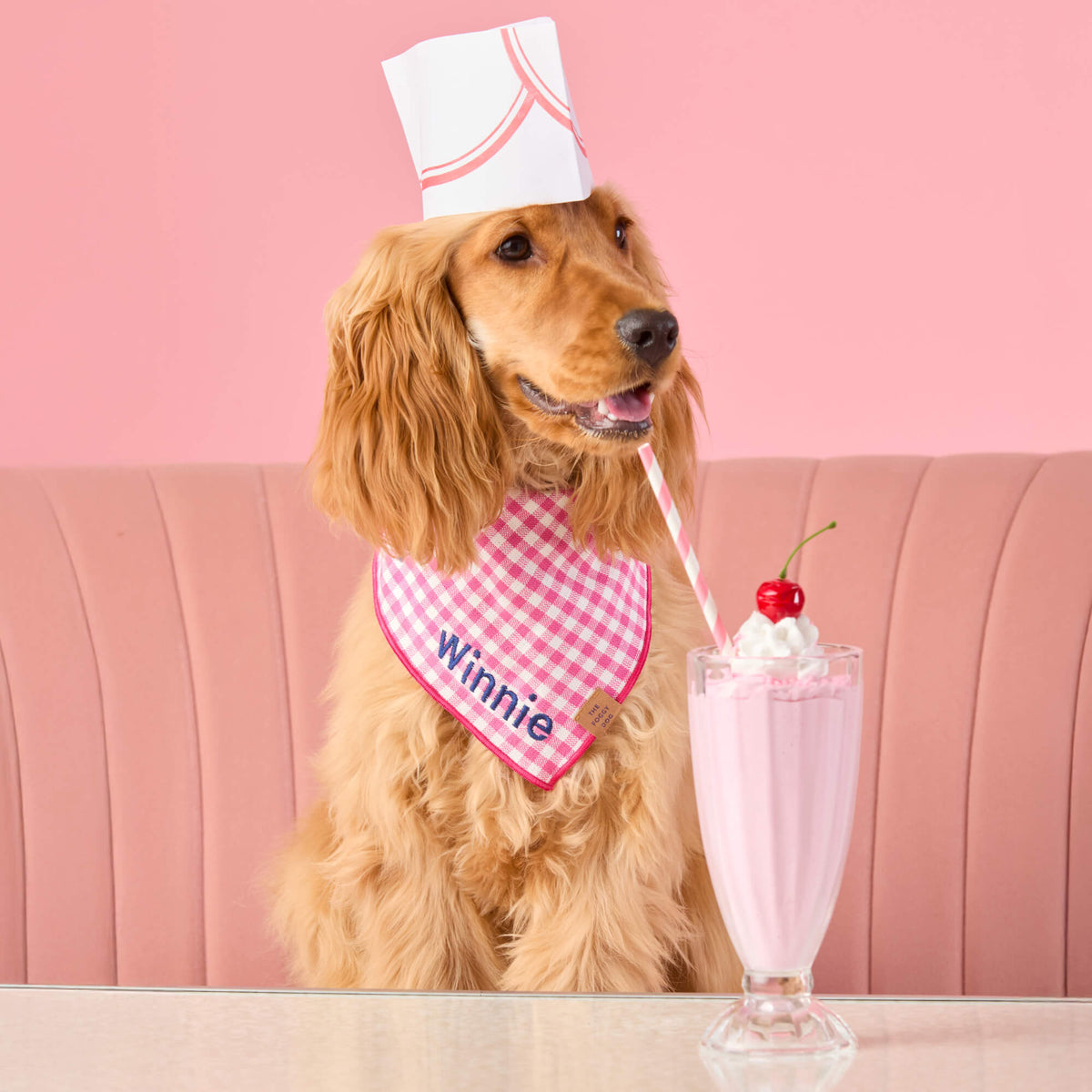 Hot Pink Gingham Dog Bandana