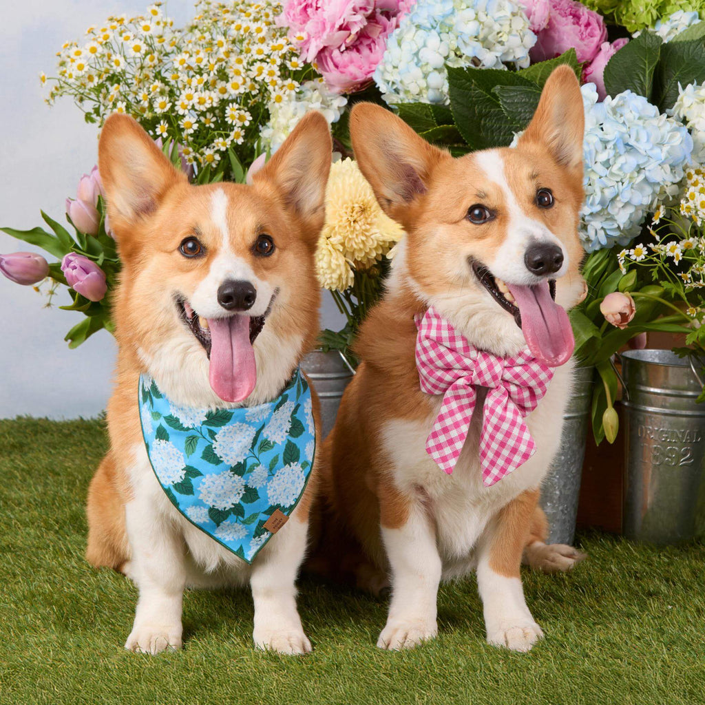 Hot Pink Gingham Lady Dog Bow