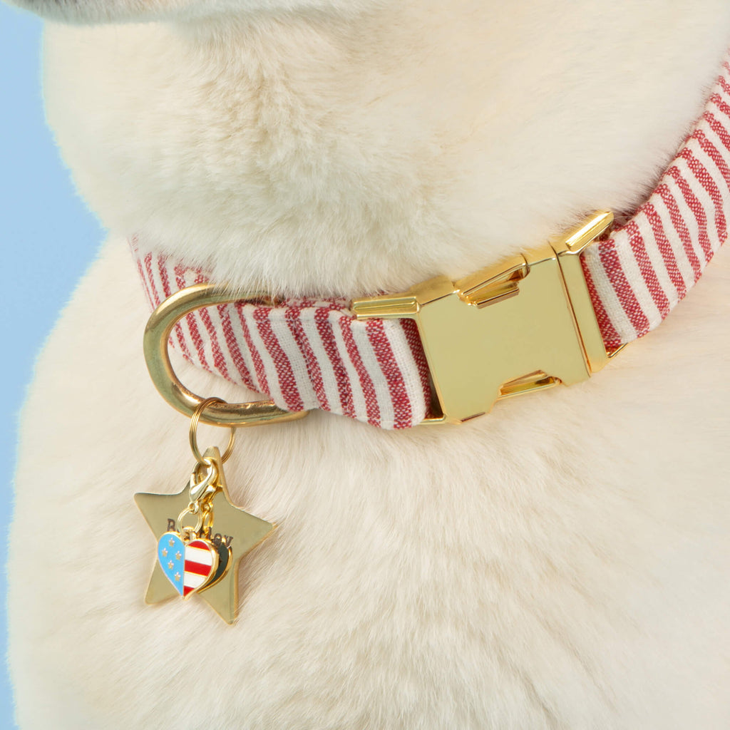 I Heart America Collar Charm