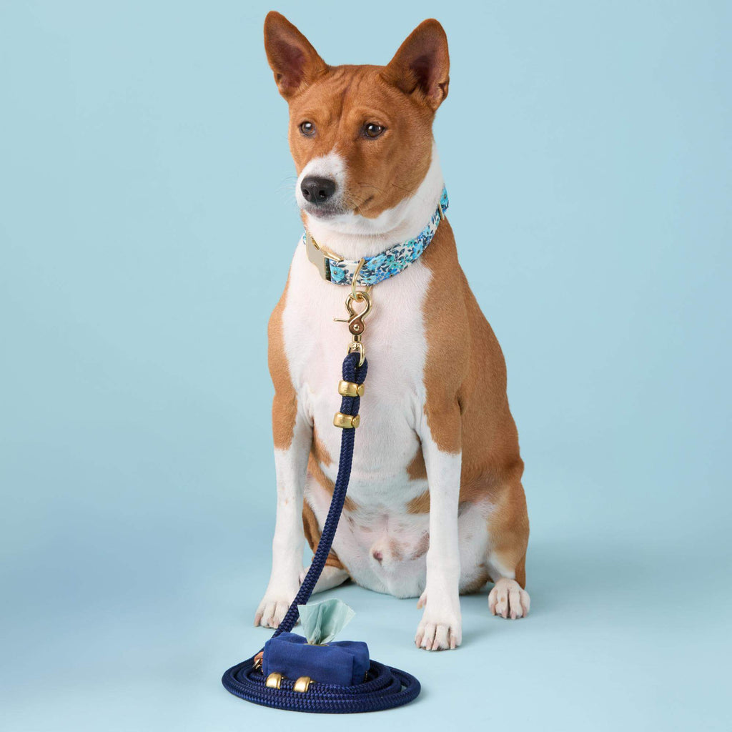 Ocean Marine Rope Dog Leash