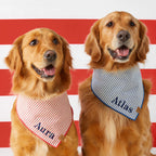 Lake Blue Stripe Dog Bandana