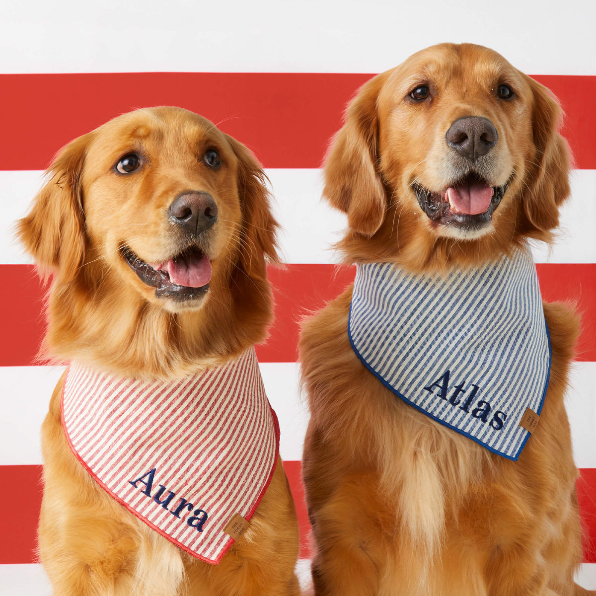 Lake Blue Stripe Dog Bandana