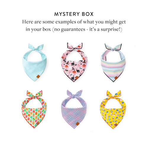 Bandana Mystery Box