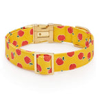OLIPOP x TFD Crisp Apple Dog Collar