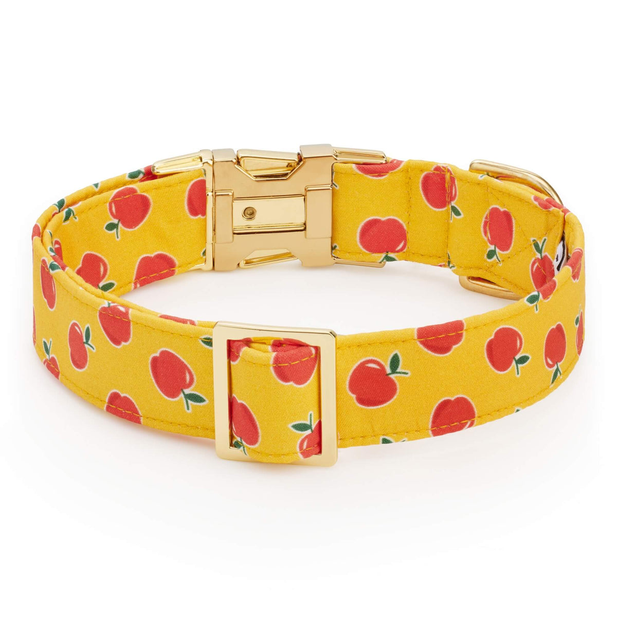 OLIPOP x TFD Crisp Apple Dog Collar