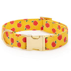 OLIPOP x TFD Crisp Apple Dog Collar