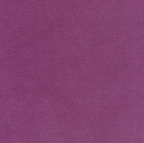 Plum Velvet Dog Collar