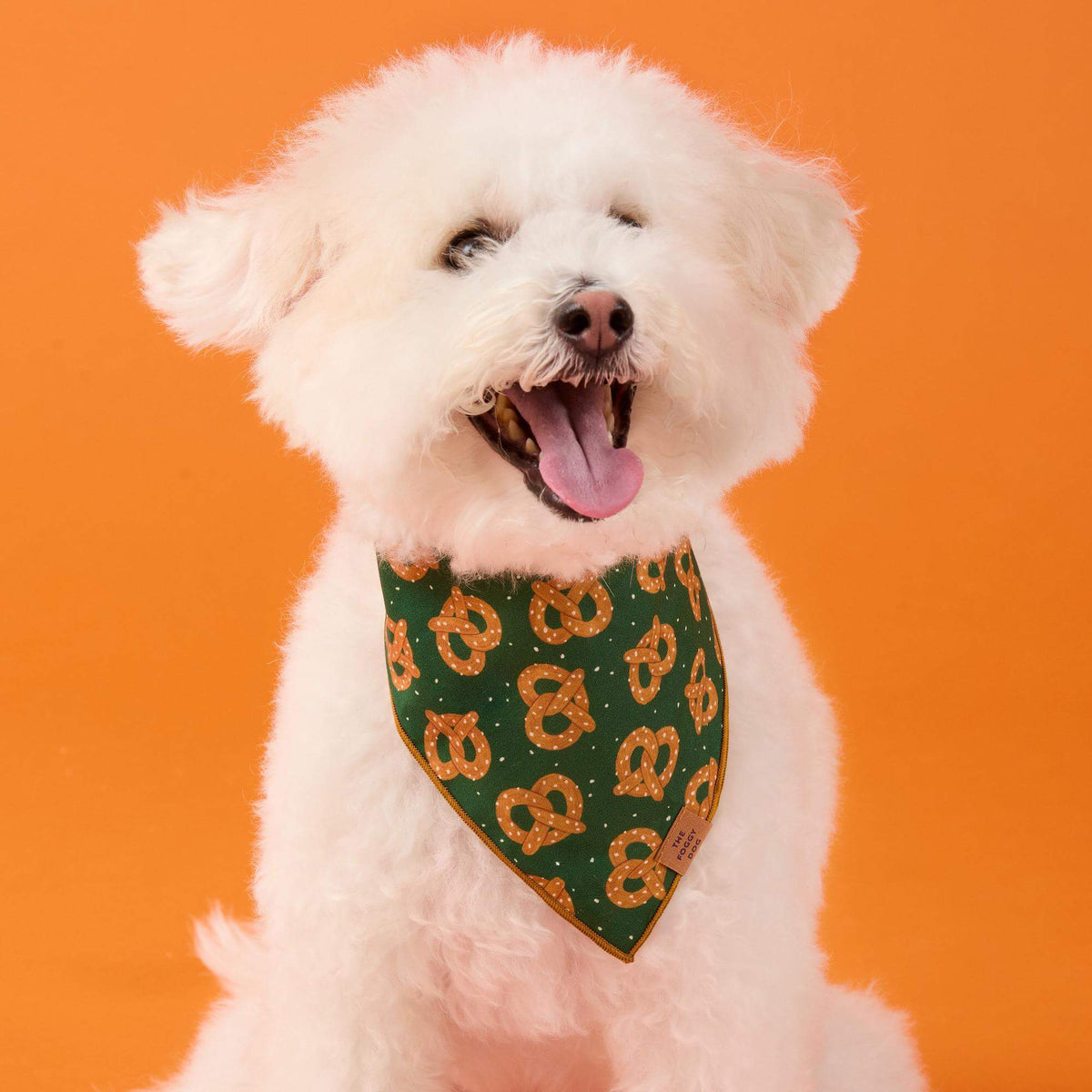 Pretzel Party Dog Bandana