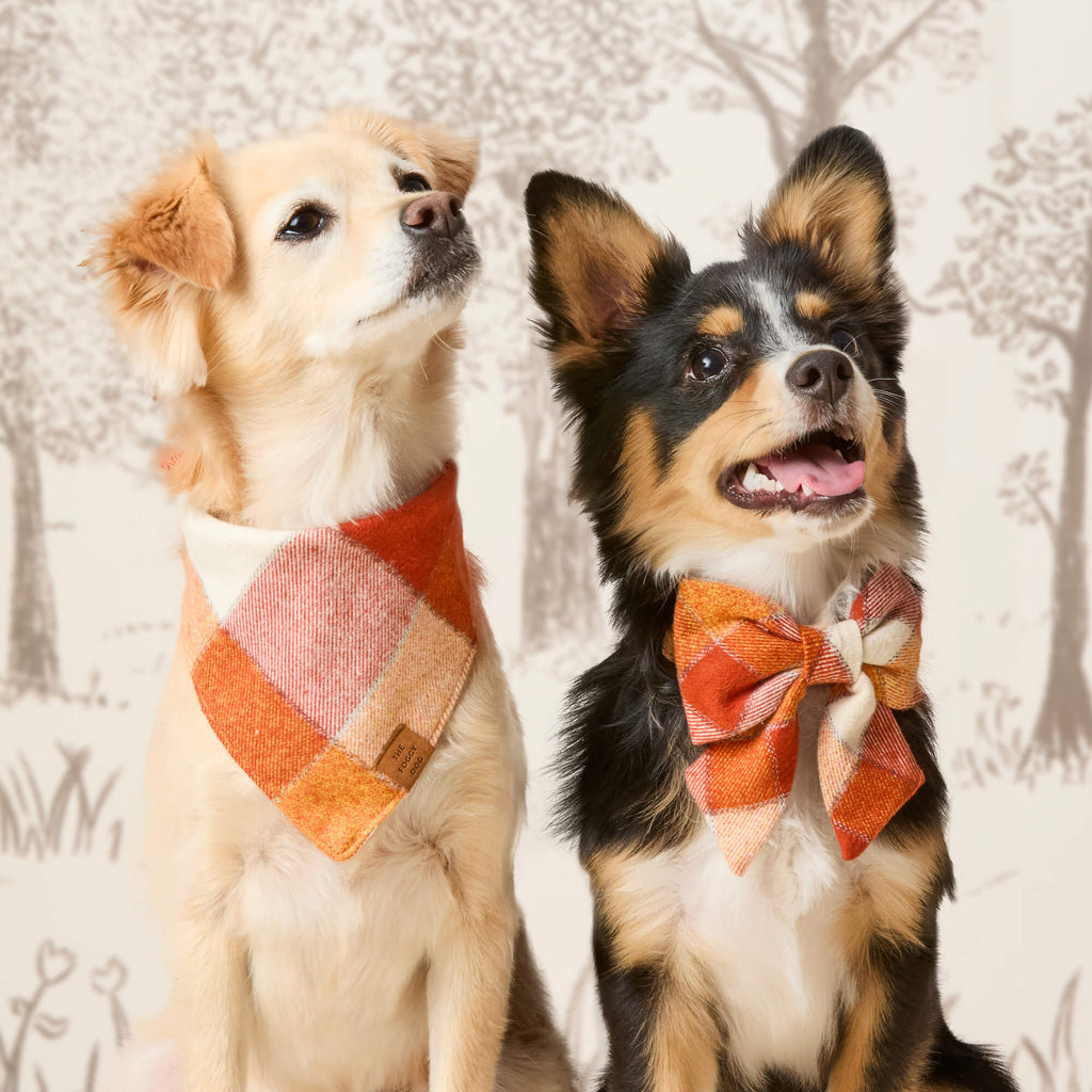 Pumpkin Spice Plaid Flannel Lady Dog Bow