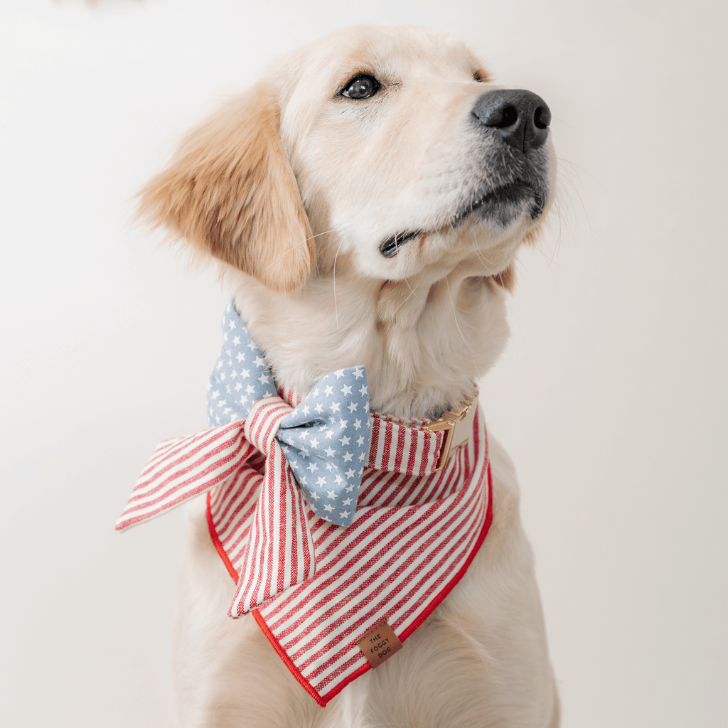 Red Stripe Dog Bandana