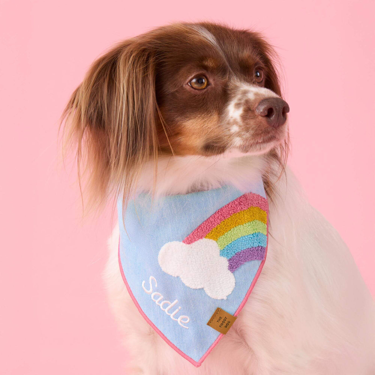 Rainbow Applique Dog Bandana