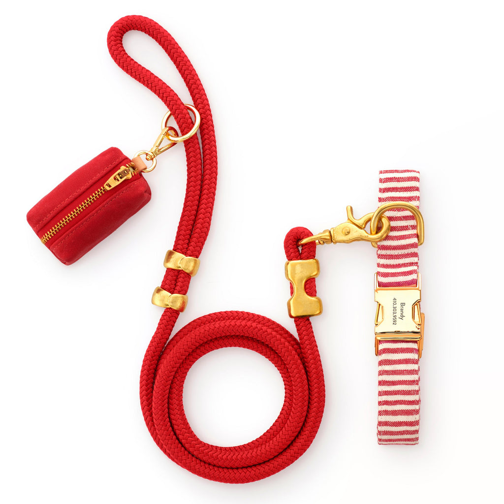 Red Stripe Collar Walk Set