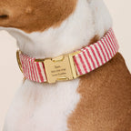 Red Stripe Dog Collar