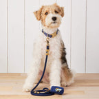 Ocean Marine Rope Dog Leash