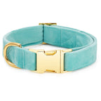 Robin’s Egg Velvet Dog Collar