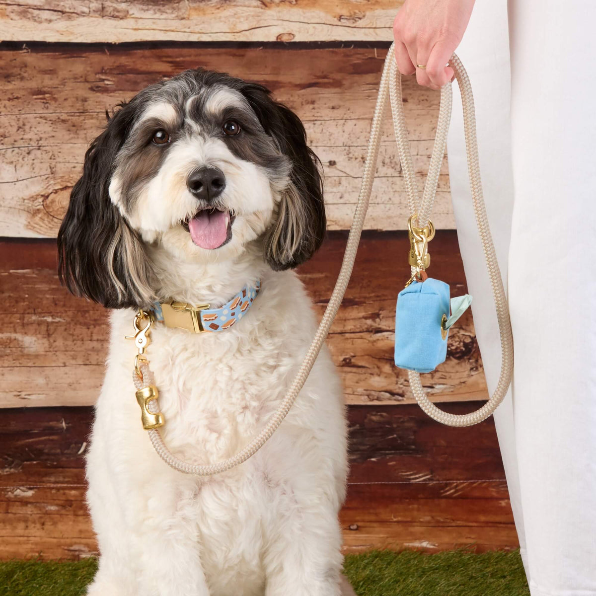 S’more to Love Collar Walk Set