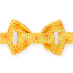 Here Comes the Sun Dog Bow Tie