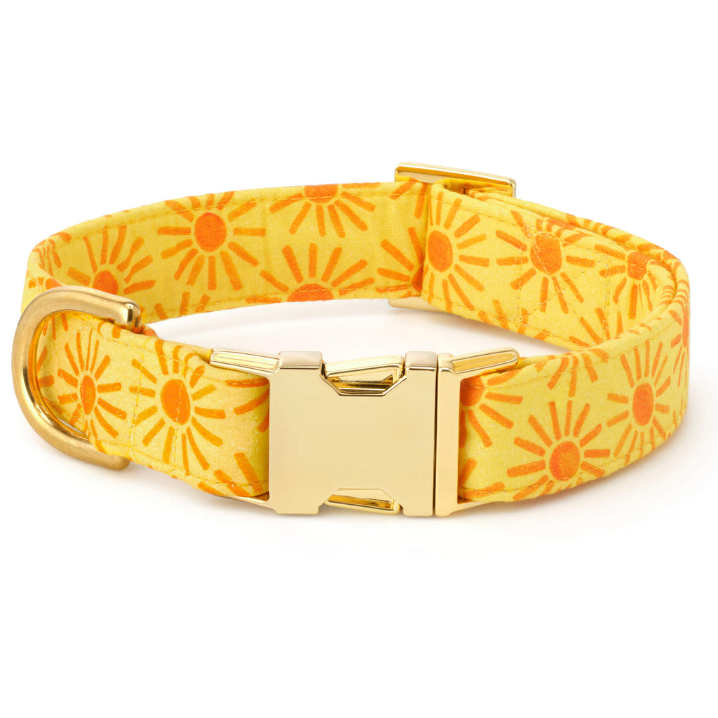Here Comes the Sun Bow Tie Collar