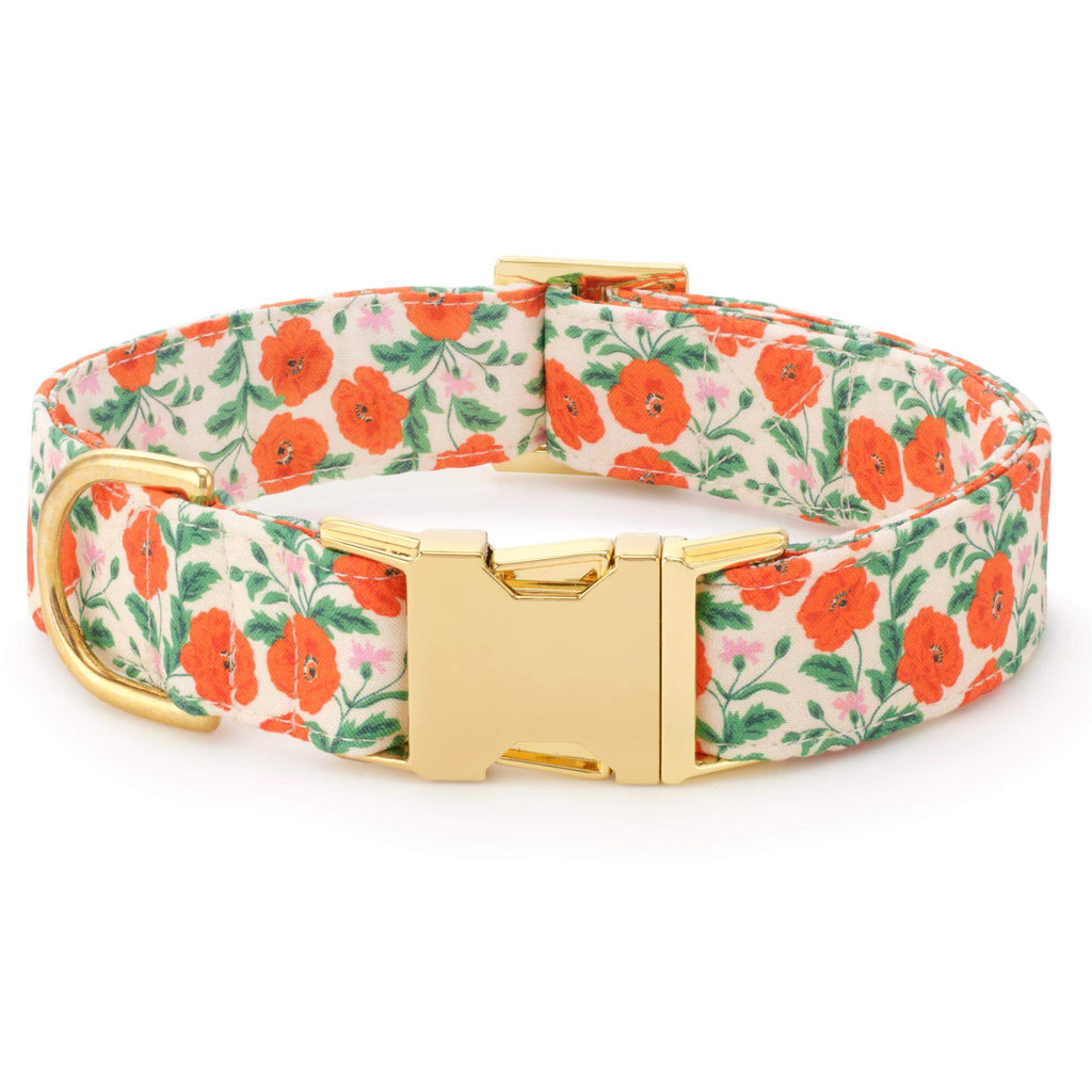 Golden Poppies Lady Bow Collar