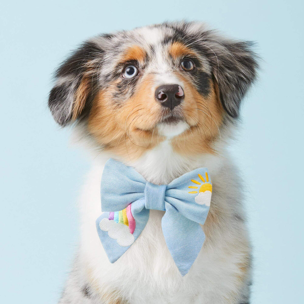 Sunshine and Rainbows Embroidered Lady Dog Bow