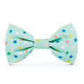 Confetti Dots Dog Bow Tie