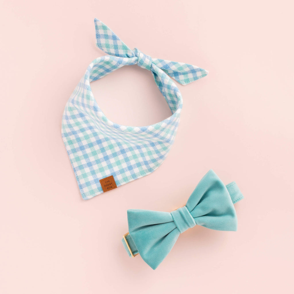 Robin’s Egg Velvet Dog Bow Tie