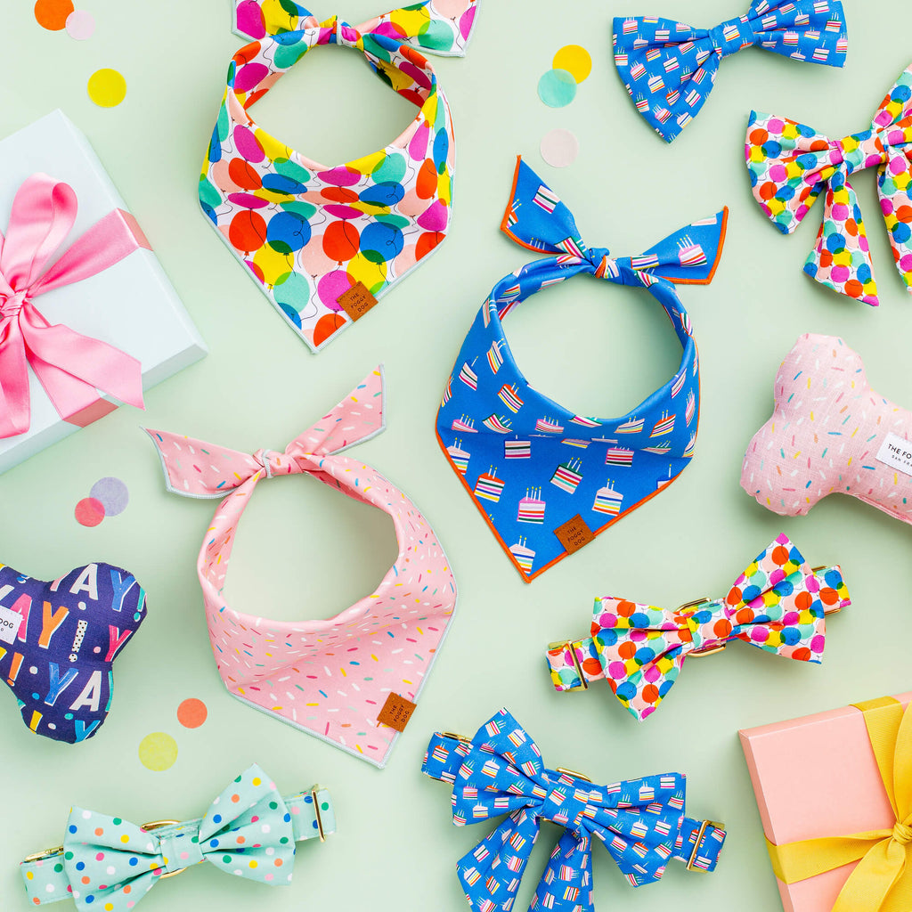 Confetti Dots Dog Collar