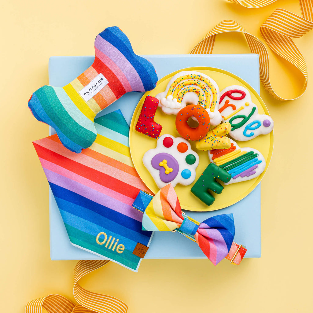 Over the Rainbow Dog Collar
