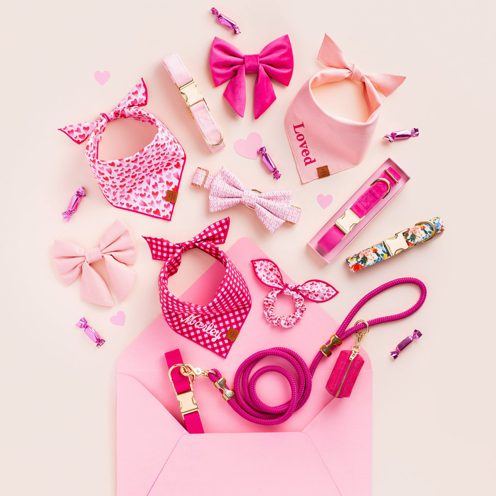 Hot Pink Velvet Lady Bow Collar