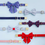 Lake Blue Stripe Bow Tie Collar