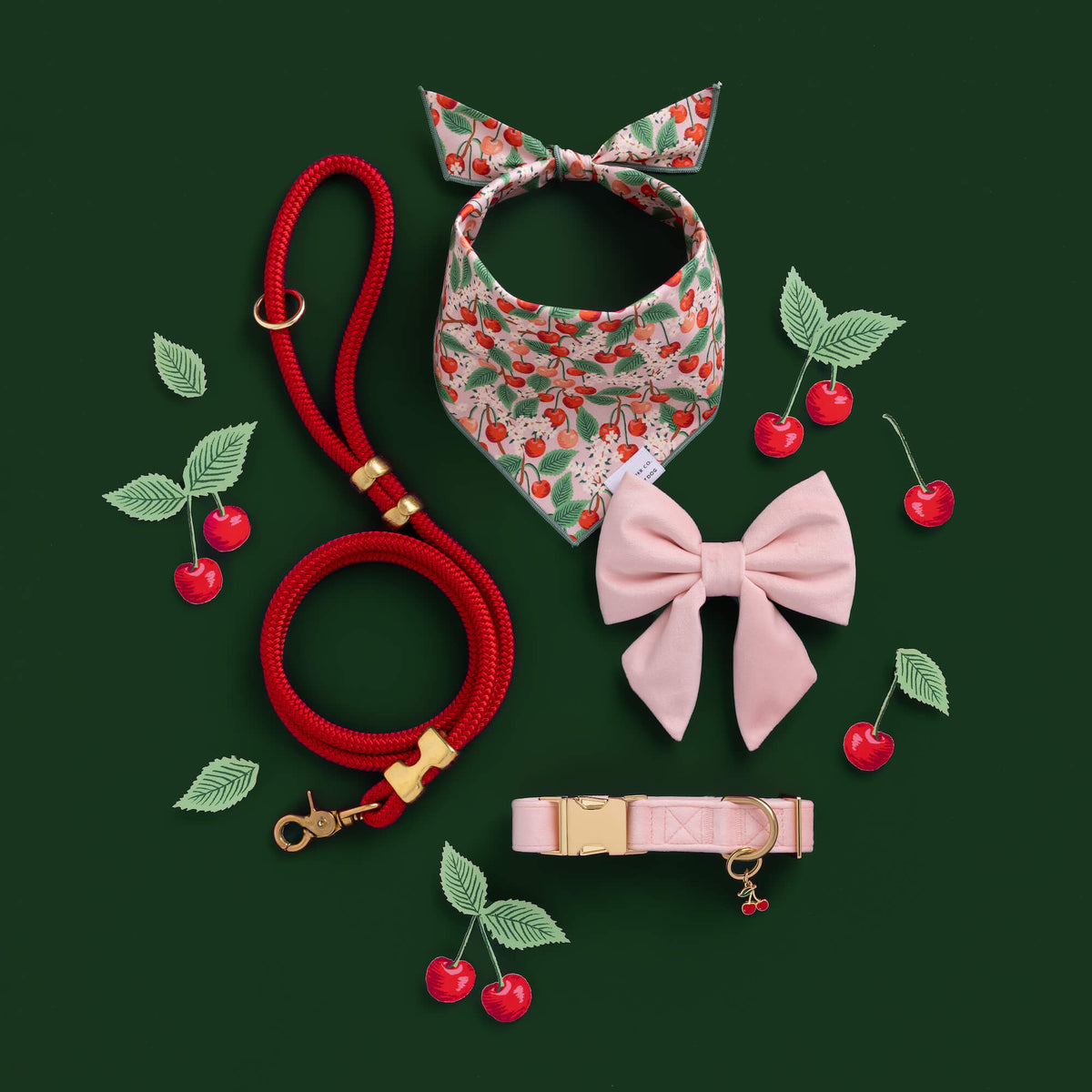 Blush Pink Velvet Lady Dog Bow