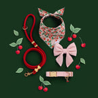 Blush Pink Velvet Lady Bow Collar