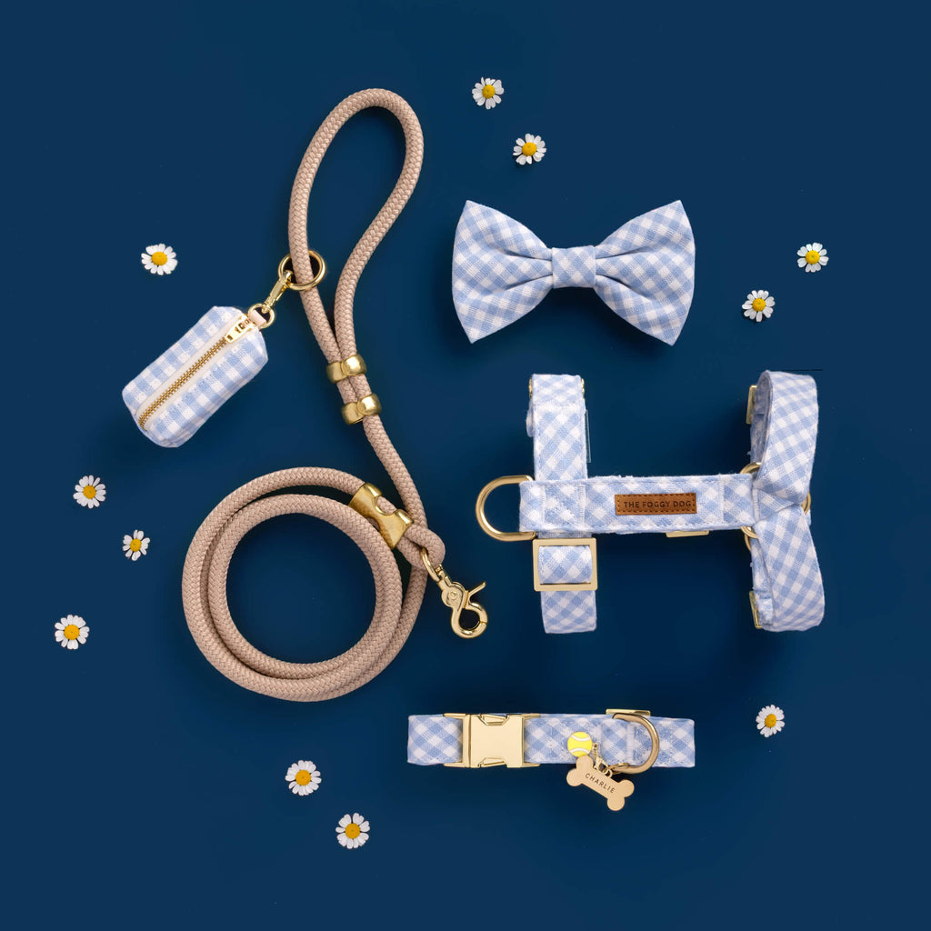Sky Blue Gingham Bow Tie Collar