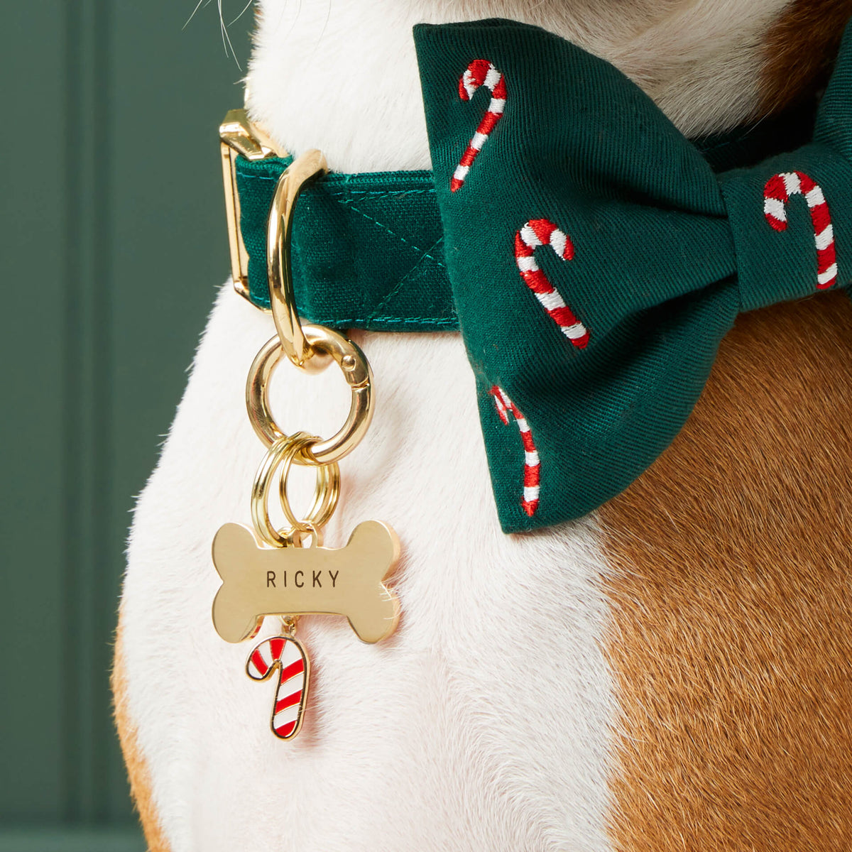 Pet Tag Keeper