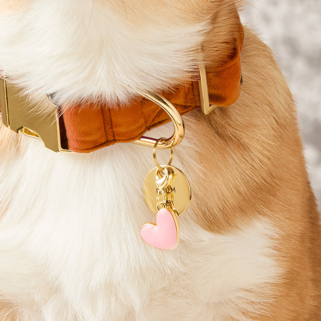 Pink Heart Collar Charm