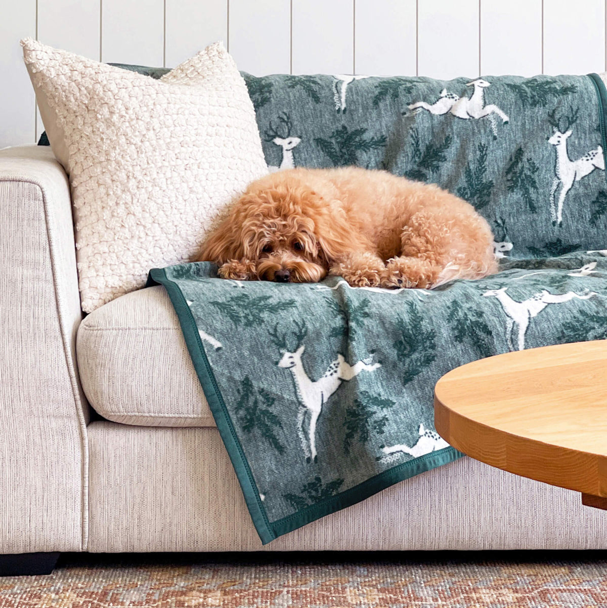 ChappyWrap Harborview Herringbone Evergreen Dog Blanket
