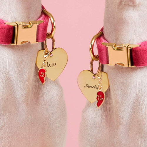 BFF Hearts Collar Charm Set