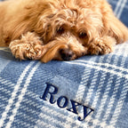 ChappyWrap Harborview Herringbone Forest Green Dog Blanket