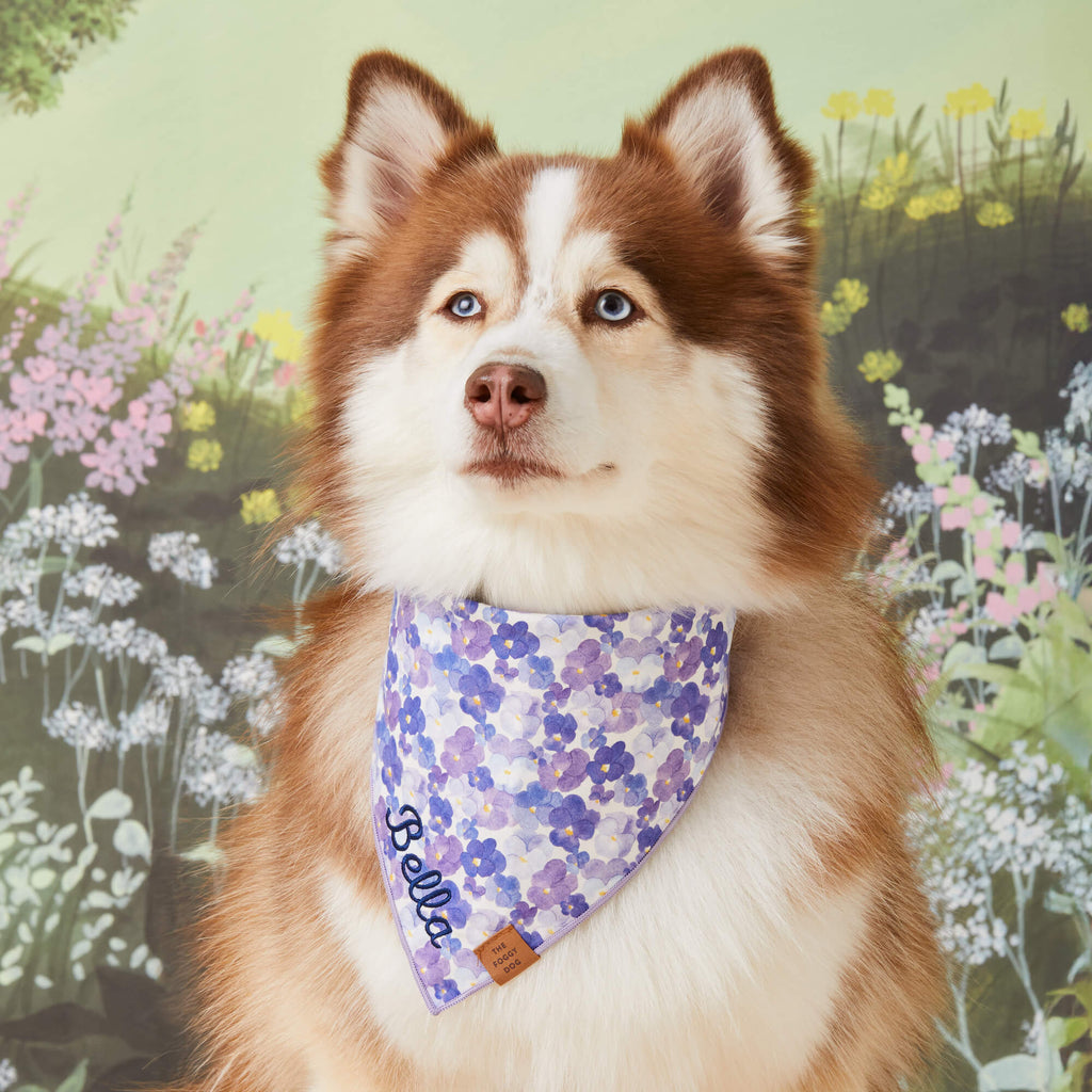 Pressed Pansies Dog Bandana