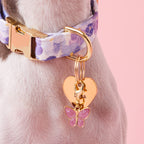 Butterfly Collar Charm