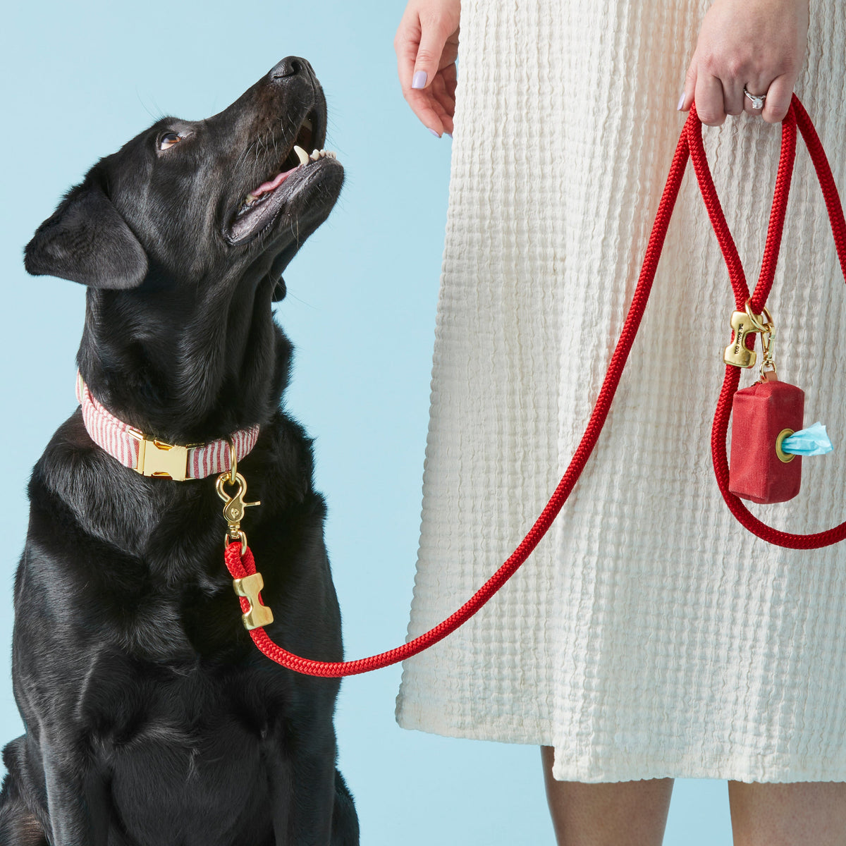 Ruby Waxed Canvas Waste Bag Holder