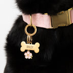 Cherry Blossom Collar Charm Set